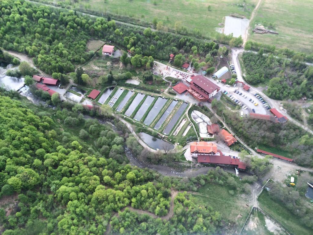 Complex Pastravaria Albota Arpaşu de Sus Extérieur photo